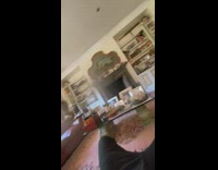 Brown pet dog cries when piano plays