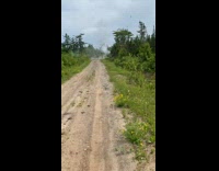 Men blows up couch using explosives pt 1