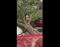 Guy sit uprooted tree selfie storm car 
