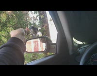 Guy hand feed bird bacon mirror slowmo