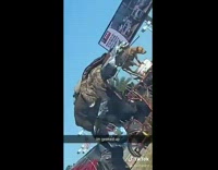 Collab ClipsIG - Guy rides tandem bicycle with three dogs 