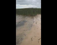 man on black four wheeler flips 