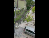 Men plays with push cart and throws a scooter