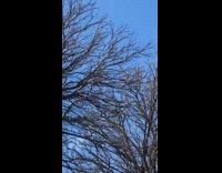 Collab Clips MPUGC - Teens retrieving soccer ball from electric wires fails 