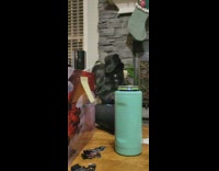 Black dog head tilt hear music speakers