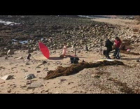 Woman mermaid red umbrella beach rocks pictorial