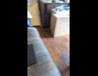 Adapters causing static when placed near radio