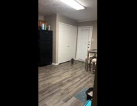 Cat arm got stuck in blue toy