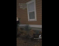 Guy throws eggplant into window of house 