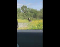 Woman windy breeze photo shoot weird dance