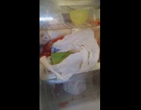 Collab DailyDoseOfInternet - Brown ferret walks around inside refrigerator celery 