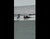 Couple top of each other pictorial beach