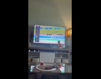 [Third Party - Video] Cat loves to watch F1 on tv