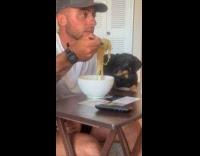 Collab BitchMP - Dog takes a bite of mans noodles 