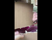 Toddler flips off camera through window 