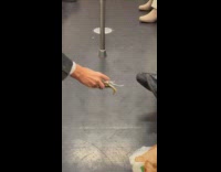 Collab Subway Creatures - Crabs breaks brown bag crawls on train