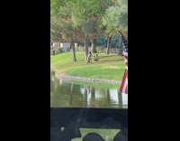 Black white bikini girl pond american flag