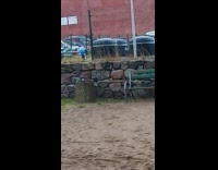 Black crow bird eats cheeto bag playground 