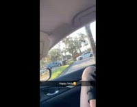 White bird wants hash brown girl in car