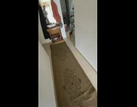 small orange cat runs back and forth between rooms