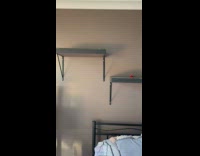 Cat plays fetch climbs to get toy