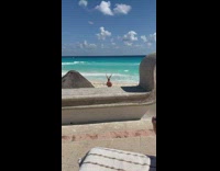 Lady Stands on its Hands for Pictures