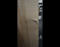 Collab Clips mpugc - Cat closes window of box house