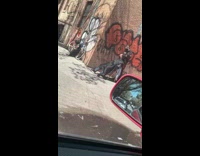 Barber cuts hair on sidewalk by graffiti 