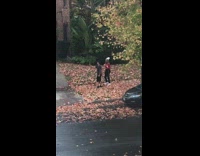 Couple dance drop white beanie dead leaves