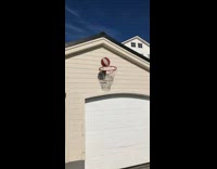 Satisfying basketball shot ball spin on hoop