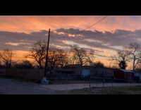 Filmer show sunset sky street dogs bark