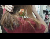 Girl brushes hair green orange bird shoulder 