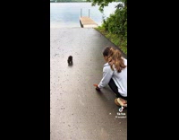 Collab Clips MPUGC - Woman reunites lost racoon pups 