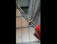 Orange shirt guy selfie waterfall mall heart