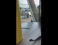 Black suit guy poses railing white boat