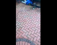 Collab Clips MPUGC - Koi gets very excited at meal time 