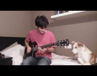 Owner plays guitar dog woke up bedroom