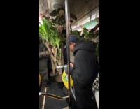 Plants inside the train full of passengers
