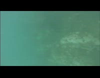 Collab risksIG - Guy jumps into water with gopro camera