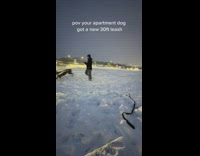 Dog on extra long leash 