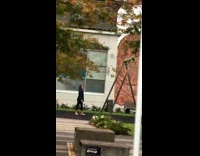 ClipsIG - Lady Swings Baby Too Hard in Park