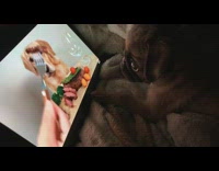 Pug watches video of dog eating steak 
