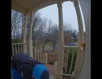 Amazon delivery worker pets cat on porch