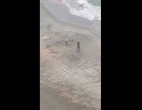 Collab ClipsIG - Woman and toddler fall on beach waves