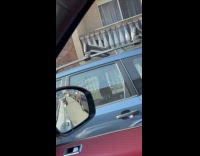 Submitter shows woman and pony on sidewalk