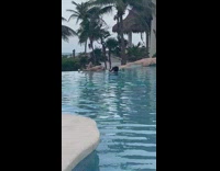 Girl knee up lay on pool ledge