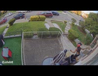 Collab Clips MPUGC - Woman trips on package and falls 