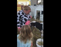 Collab Clips mpugc - Girl in cow costume gets utters sucked by real cow