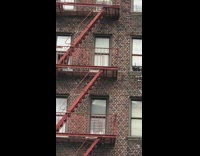 Raccoon walks around red apartment fire pt. 2
