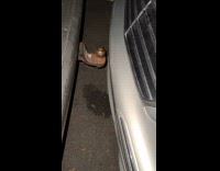 Cars bumper to bumper parked on street